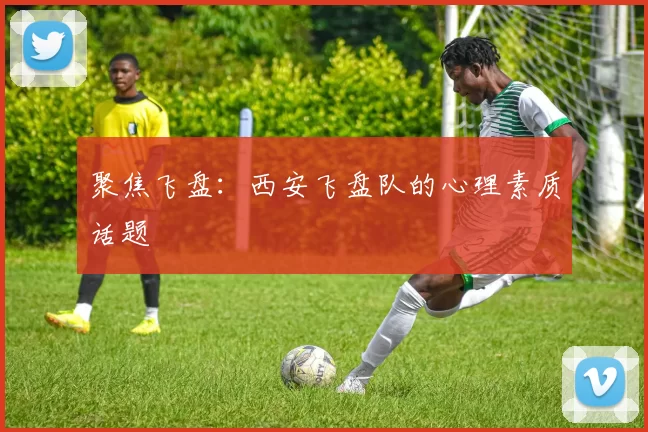 聚焦飞盘：西安飞盘队的心理素质话题