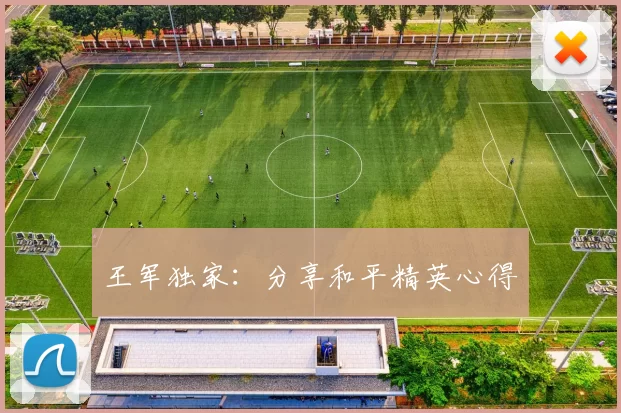 王军独家：分享和平精英心得