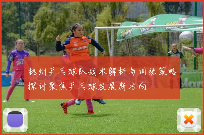 杭州乒乓球队战术解析与训练策略探讨聚焦乒乓球发展新方向