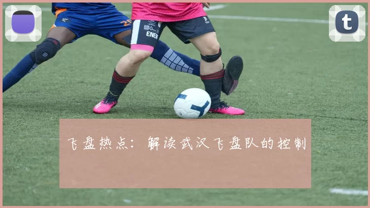 飞盘热点：解读武汉飞盘队的控制