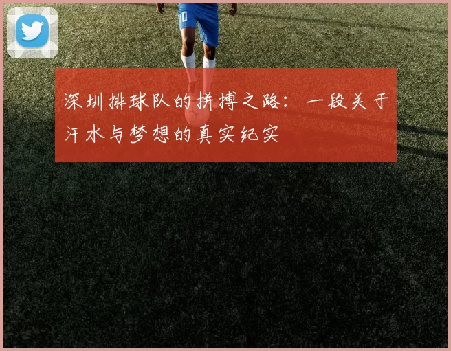 深圳排球队的拼搏之路：一段关于汗水与梦想的真实纪实