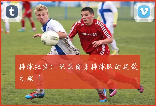 排球纪实：记录南京排球队的逆袭之旅_1