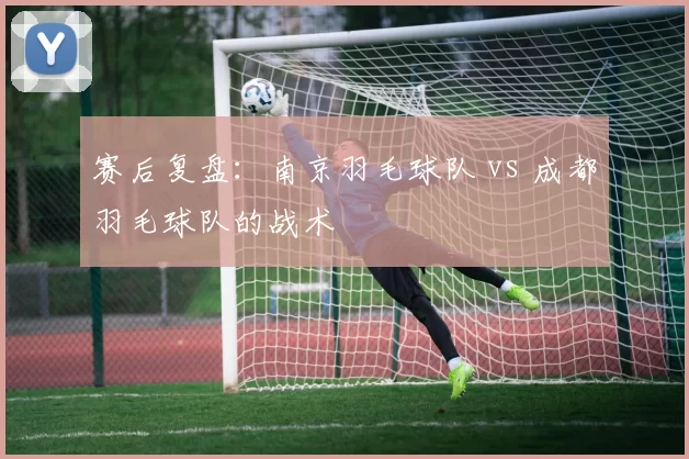 赛后复盘：南京羽毛球队 vs 成都羽毛球队的战术