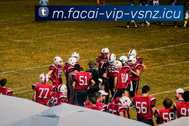 开云体育平台生态图